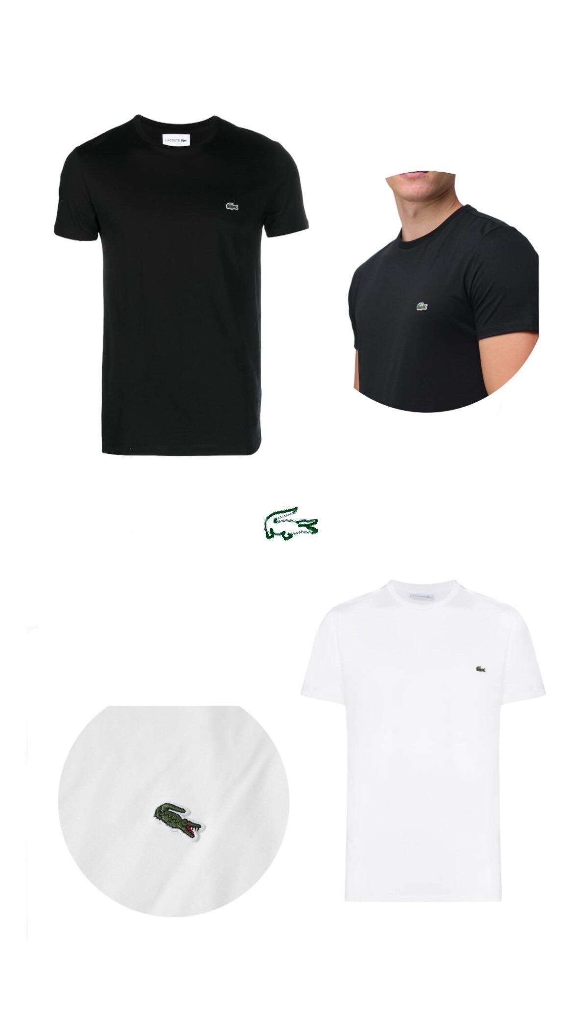 Lacoste Basic